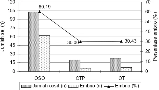 Gambar 9 Perbandingan perkembangan embrio in vitro dari perlakuan transplantasi dan tanpa transplantasi