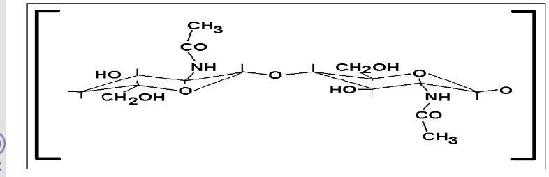 Gambar 2  Struktur kimia kitin  