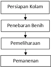 Gambar 7.   Struktur Organisasi Pada Kelompok Tani LPPMPU 