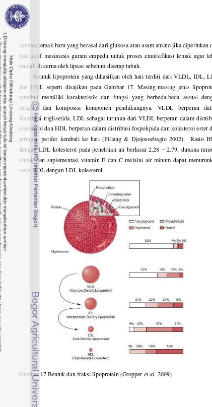 Gambar 17 Bentuk dan fraksi lipoprotein (Gropper et al. 2009) 