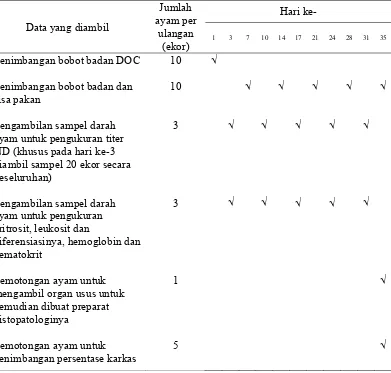 Tabel 8 Tahap pengumpulan data selama penelitian 