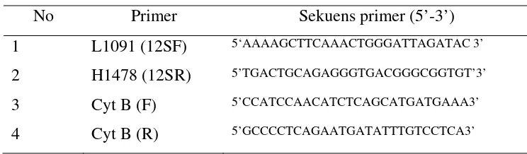 Tabel 2  Informasi primer pengapit DNA mitokondria 