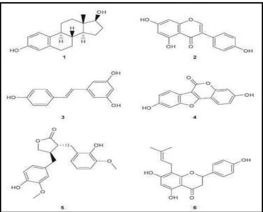 Gambar 2. Persamaan struktur antara fitoestrogen dan estradiol : (1) 17β-estradiol, (2) geniestein (isoflavon), (3) trans-resveratrol (stibene), (4) coumestrol (coumestan), (5) mataresinol (lignan), dan (6) 8-prenyl naringenin