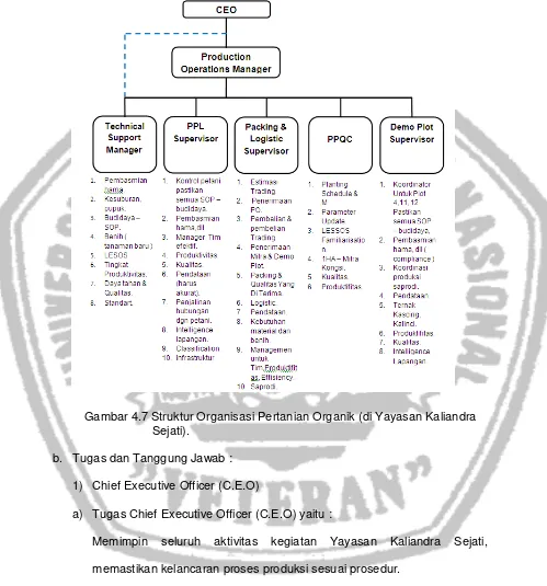Gambar 4.7 Struktur Organisasi Pertanian Organik (di Yayasan Kaliandra  