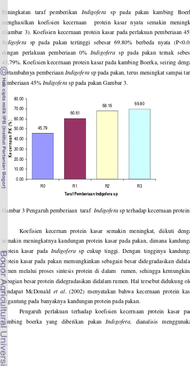 Gambar 3 Pengaruh pemberiaan taraf Indigofera sp terhadap kecernaan protein