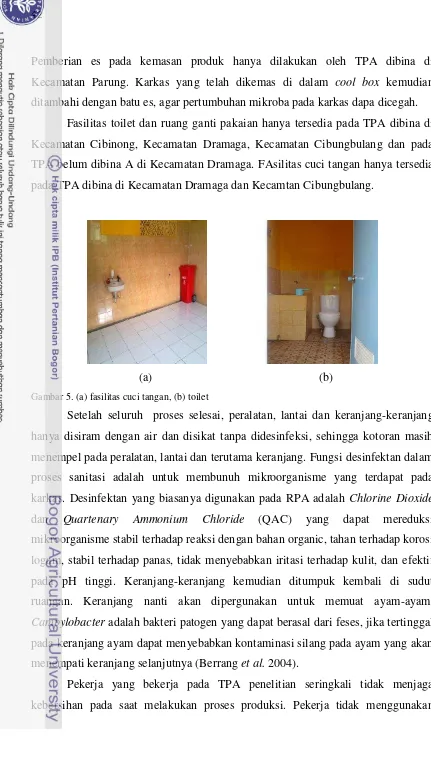 Gambar 5. (a) fasilitas cuci tangan, (b) toilet 