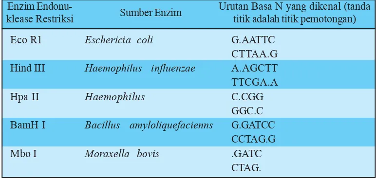 Tabel 6.1 Beberapa jenis enzim endonuklease restriksi