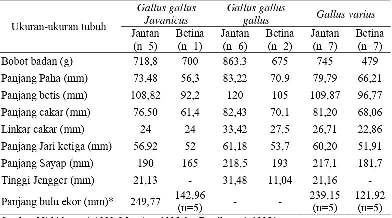 Tabel 2    Perbandingan bobot badan dan ukuran ukuran tubuh ayam hutan merah  Jawa (Gallus gallus javanicus), ayam hutan merah Sumatera (Gallus gallus gallus)  dan ayam hutan hijau (Galus varius) 