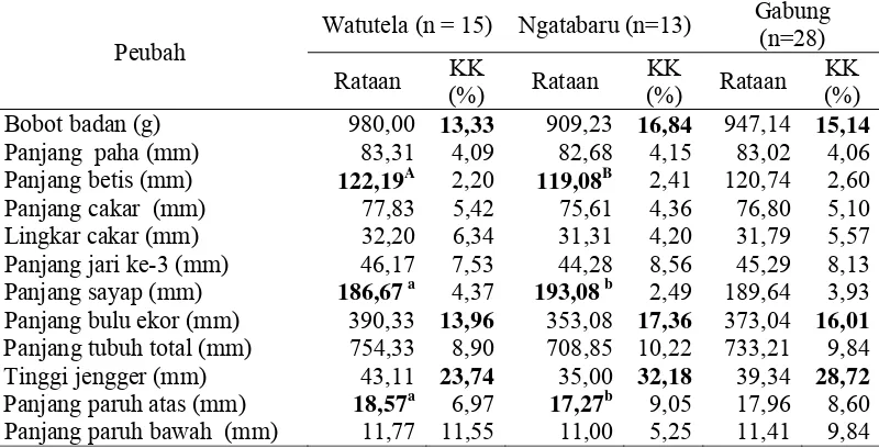 Tabel 4  Rataan dan nilai koefisien keragaman  (KK) bobot badan  dan  ukuran-ukuran tubuh  ayam hutan merah jantan di lokasi penelitian 