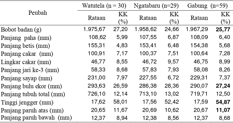 Tabel 10    Rataan dan nilai koefisien keragaman  (KK) bobot badan  dan  ukuran-ukuran tubuh  ayam kampung jantan di lokasi penelitian 