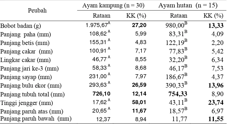 Tabel  16  Rataan dan nilai koefisien keragaman  (KK) bobot badan  dan  ukuran ukuran tubuh  ayam kampung dan ayam hutan merah jantan Watutela 