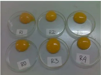 Gambar 5.  Warna kuning telur antar perlakuan umur 29 minggu 