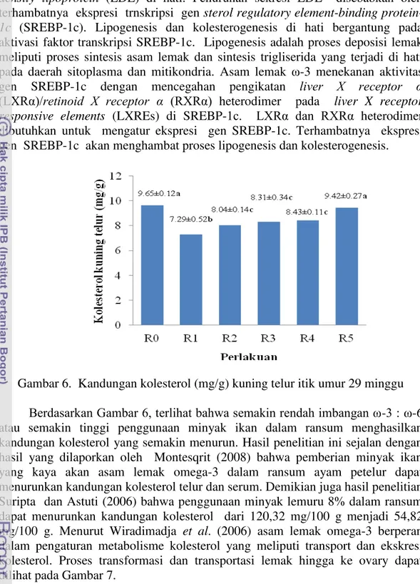 Gambar 6.  Kandungan kolesterol (mg/g) kuning telur itik umur 29 minggu  Berdasarkan Gambar 6, terlihat bahwa semakin rendah imbangan ω-γ : ω-6  atau  semakin  tinggi  penggunaan  minyak  ikan  dalam  ransum  menghasilkan  kandungan kolesterol  yang semaki