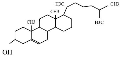 Gambar 4 Struktur kolesterol. 