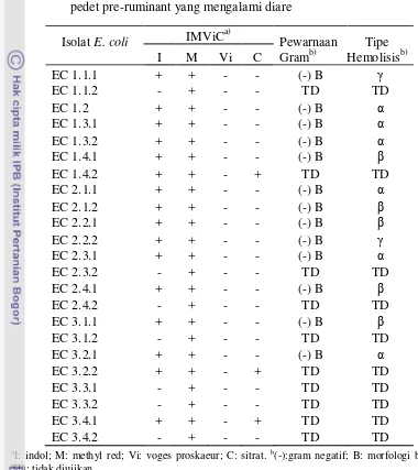 Tabel 4.2  Identifikasi isolat bakteri Escherichia coli dari sampel feses lima ekor 