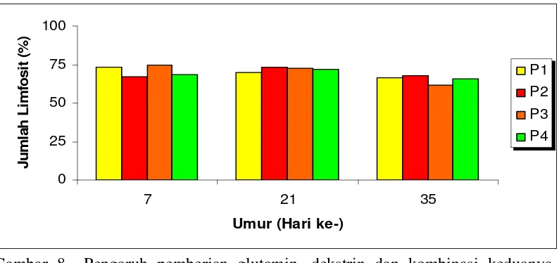 Gambar 8  Pengaruh pemberian glutamin, dekstrin dan kombinasi keduanya  terhadap rataan persentase limfosit ayam pada umur 7, 21 dan 35  hari 