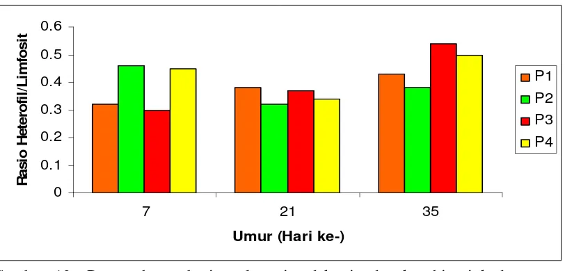 Gambar 13  Pengaruh pemberian glutamin, dekstrin dan kombinasi keduanya  terhadap rataan rasio H/L ayam pada umur 7, 21 dan 35  hari 