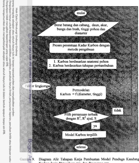 Gambar 9. Diagram AIir TstRapm Kerja Pembuatan Model Penduga Kandungan 