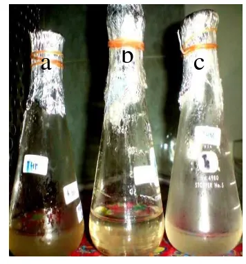 Gambar 3  Hasil inkubasi bakteri Kawah Putih (a), media kontrol (b), dan bakteri Kawah Merah (c) pada media Thermus cair