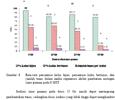 Gambar 6   Rata-rata persentase kalus hijau, persentase kalus bertunas, dan   