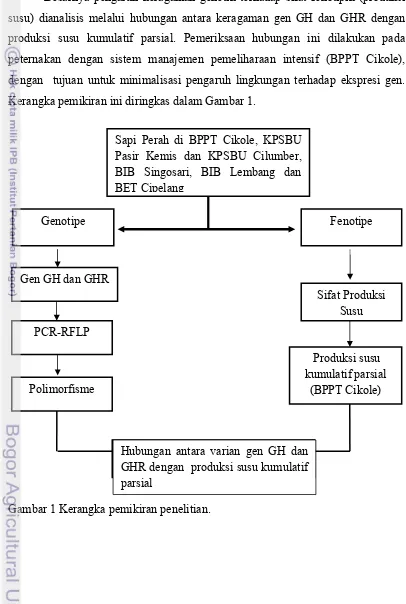 Gambar 1 Kerangka pemikiran penelitian. 