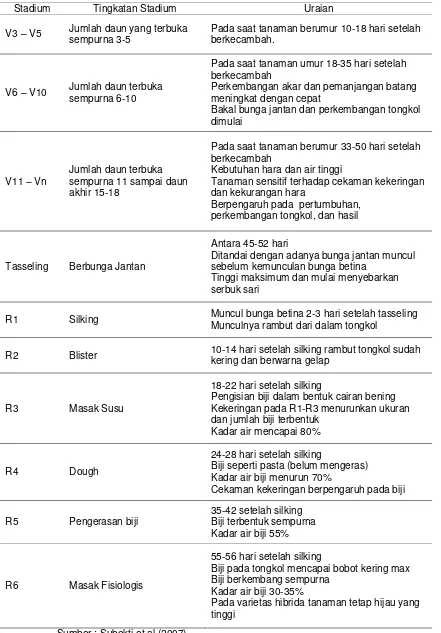 Tabel 1. Uraian Stadia Vegetatif dan Reproduktif Pertumbuhan Tanaman Jagung 