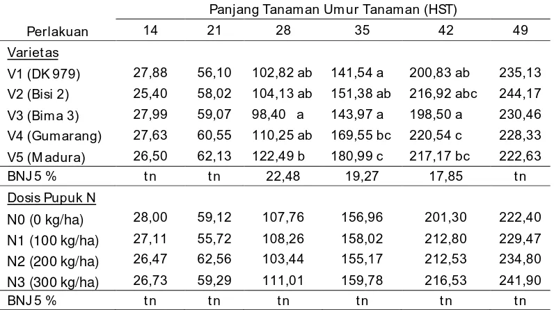 Tabel 2. Rerata Panjang tanaman (cm) Uji Penentuan Dosis Pupuk Nitrogen pada Beberapa Varietas Tanaman Jagung 