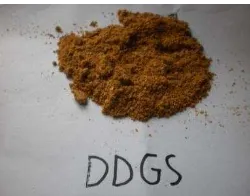 Gambar 3 Distillers dried grains with solubles 