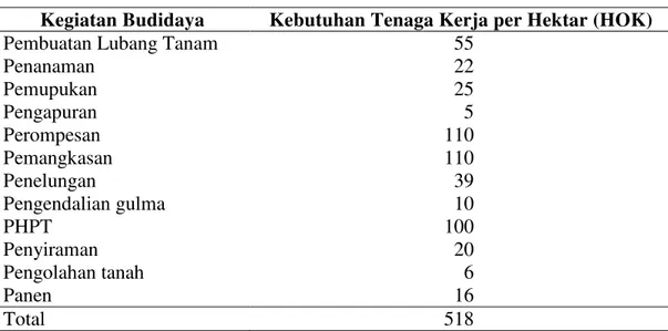 Tabel 5. Rata-rata Kebutuhan Tenaga Kerja Budidaya Apel per Hektar Kegiatan Budidaya Kebutuhan Tenaga Kerja per Hektar (HOK) Pembuatan Lubang Tanam
