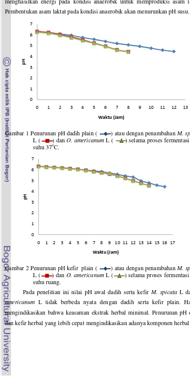 Gambar 1 Penurunan pH dadih plain (        ) atau dengan penambahan M. spicata 