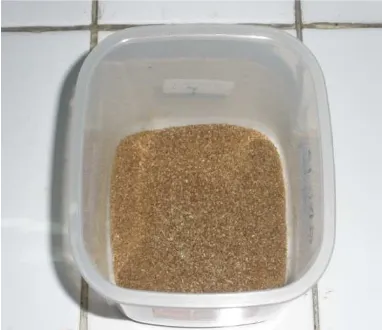 Gambar 3. Xilan tongkol jagung hasil ekstraksi 