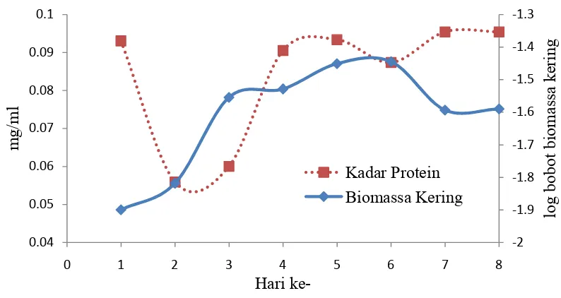Gambar 6. Kurva pertumbuhan dan kadar protein dari ��������������������������45I(3 pada media cair xilan tongkol jagung  