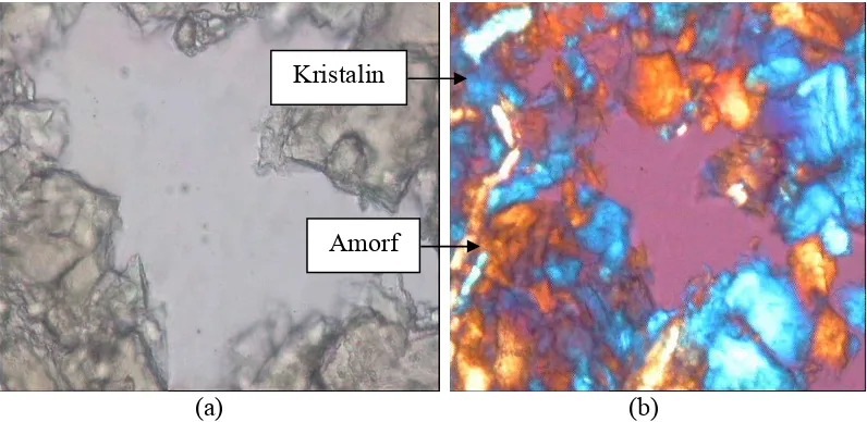 Gambar 8.  Struktur xilan tongkol jagung sebelum diberikan enzim xilanase       (a) pada mikroskop cahaya dan (b) pada mikroskop dengan cahaya  terpolarisasi (perbesaran 100x)                                      