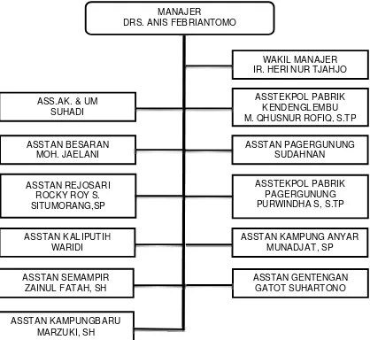 Gambar 4.1 Struktur Organisasi PT. Rolas Nusantara Mandiri Surabaya 