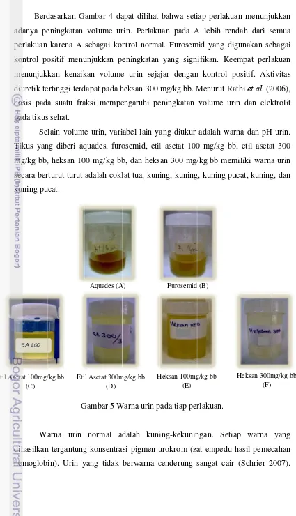 GGambar 5 WWarna urin p