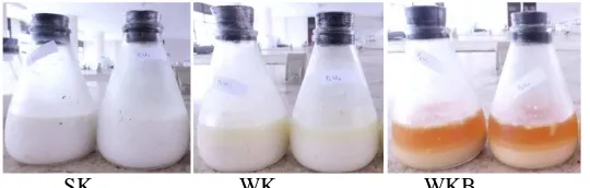 Gambar 3. Produk kefirwhey berbahan baku susu skim segar (SK), whey cair (WK) dan  bubuk (WKB)  