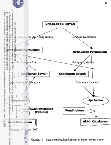 Gambar 3. Fase pembentukan kebakaran hutan secara umum 