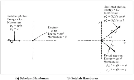 Gambar I-5: Hamburan Compton