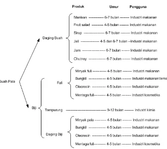 Gambar 7. Skema hasil olahan bagian-bagian buah pala (Sumber : Ditjen Perkebu-nan dalam  Rismunandar, 1990)
