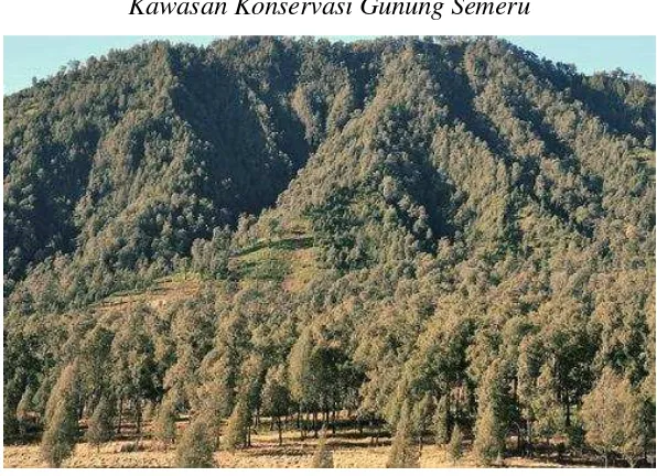 Gambar 2.2 Kawasan Konservasi Gunung Semeru 