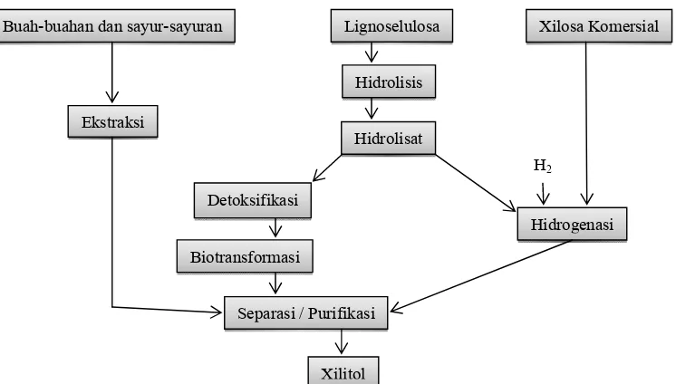 Gambar 2  Metode produksi xilitol (Parajo et al. 1998). 