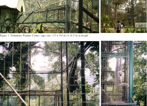 Figure 1. Schmutzer Primate Center, cage size: (17 x 9.0 m) x 14.5 m in height.