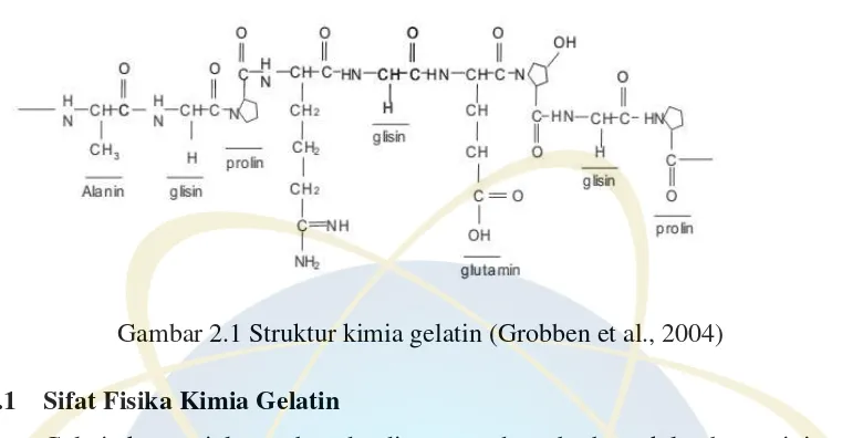 Gambar 2.1 Struktur kimia gelatin (Grobben et al., 2004) 