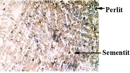 Gambar 7. Sruktur Mikro Sambungan Pipa Tuntuk Daerah Tengah Pembesaran 200 x