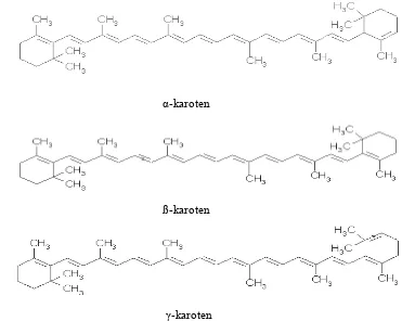 Gambar 1. Struktur kimia beberapa karoten (Anonim, 2006) 