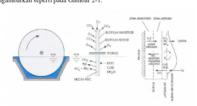 Gambar 2-1. : Mekanisme Proses Penguraian Senyawa organik oleh Mikro-Organisme Di Dalam RBC