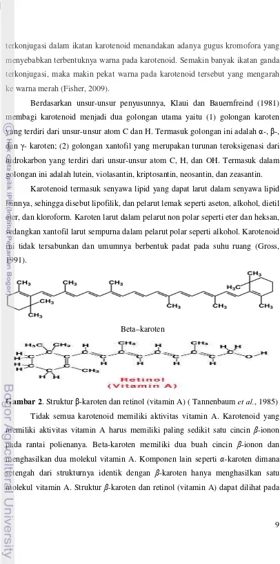 Gambar 2. Struktur β-karoten dan retinol (vitamin A) ( Tannenbaum et al., 1985) 