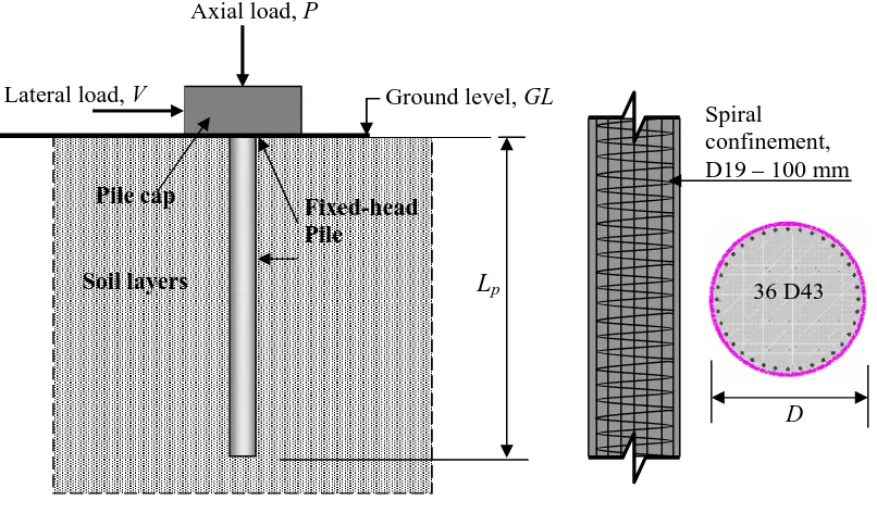 Figure 1. Winkler beam model of soil-pile system