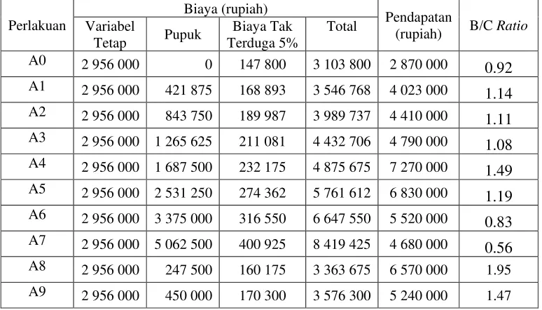 Tabel Lampiran 19. Analisis Usahatani Caisim  