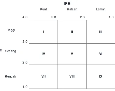 Gambar 3 Matriks IE 